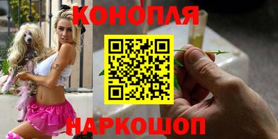 прущие грибы Балашиха