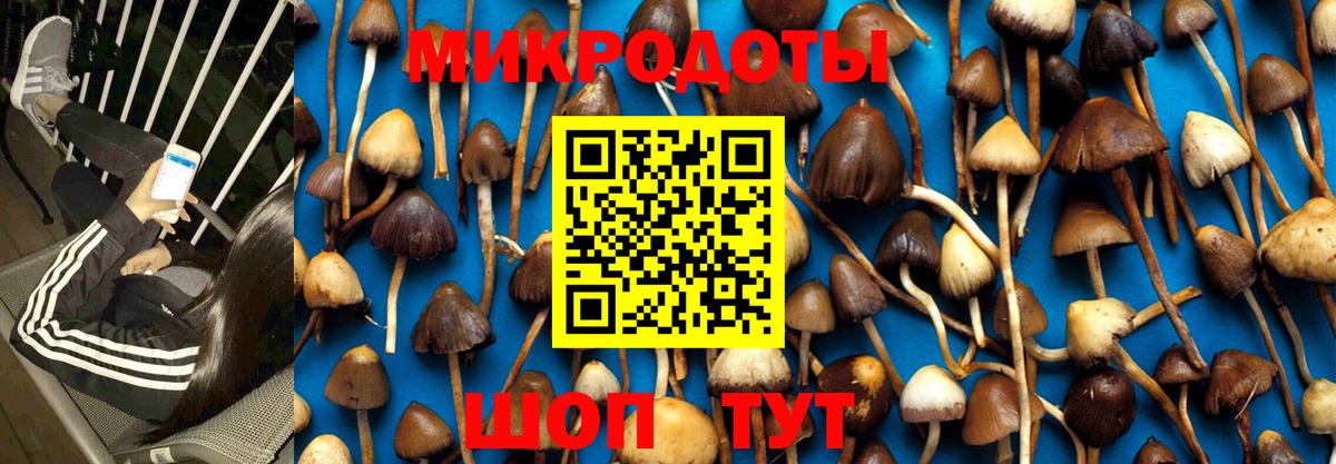 Галлюциногенные грибы прущие грибы  Вход с VPN  Железноводск 