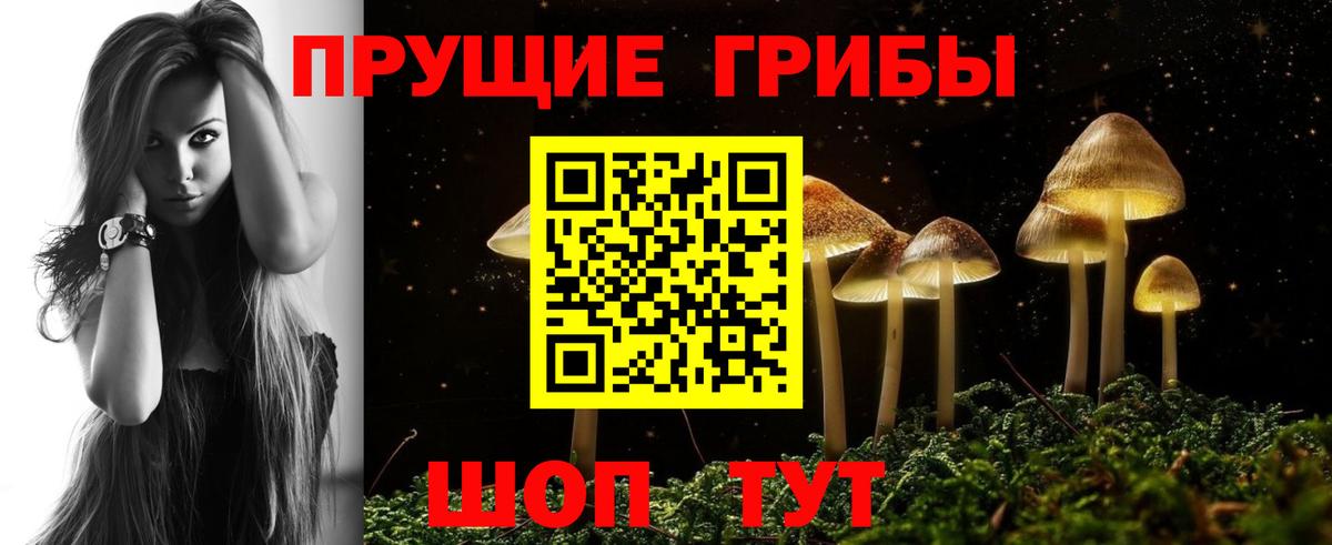 Псилоцибиновые грибы мицелий Железноводск